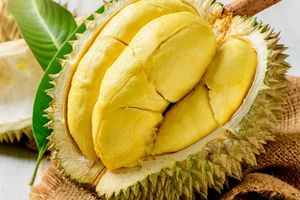 Durian Monton Palu