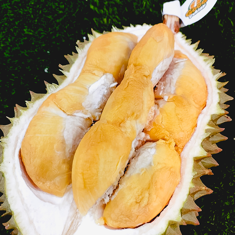 Durian Bawor Signatur Lokal
