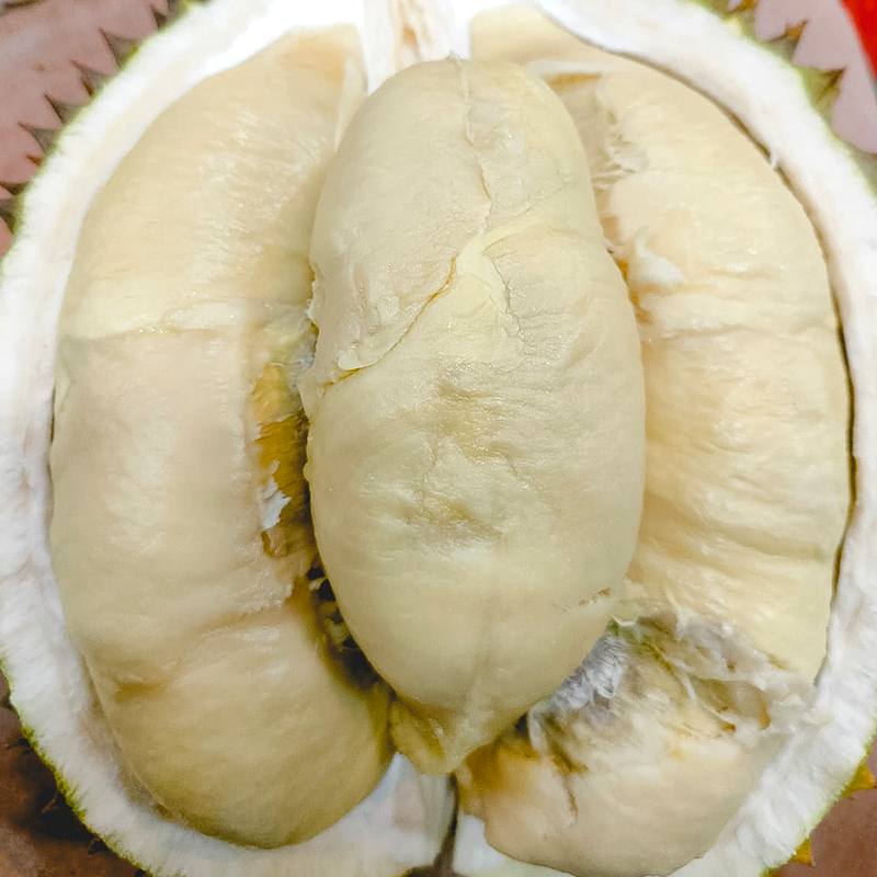 Lokal Jawa buah durian asli indonesia
