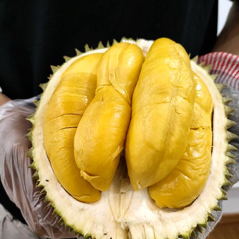 Jual Durian Musang King Di Jakarta