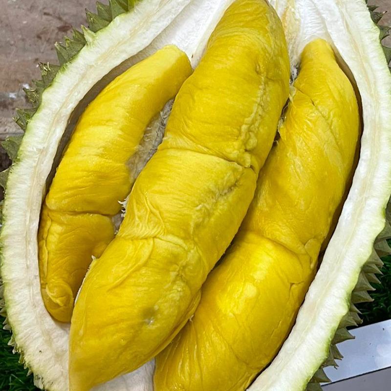 Buah Durian Musang King Malaysia