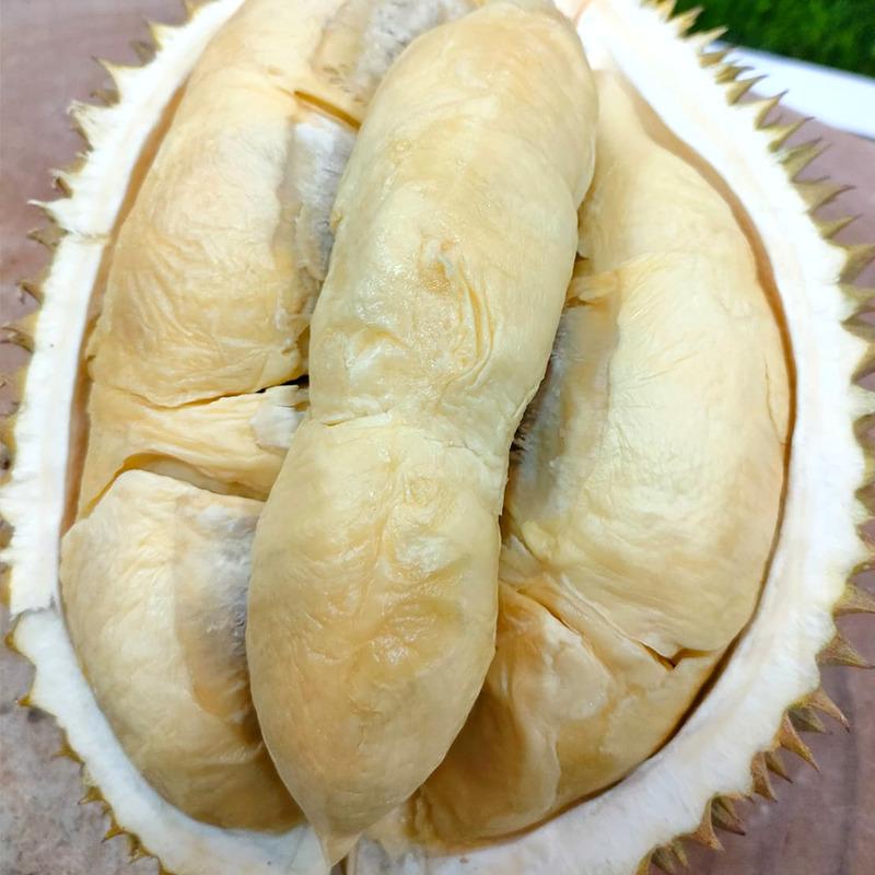 jual durian medan utuh