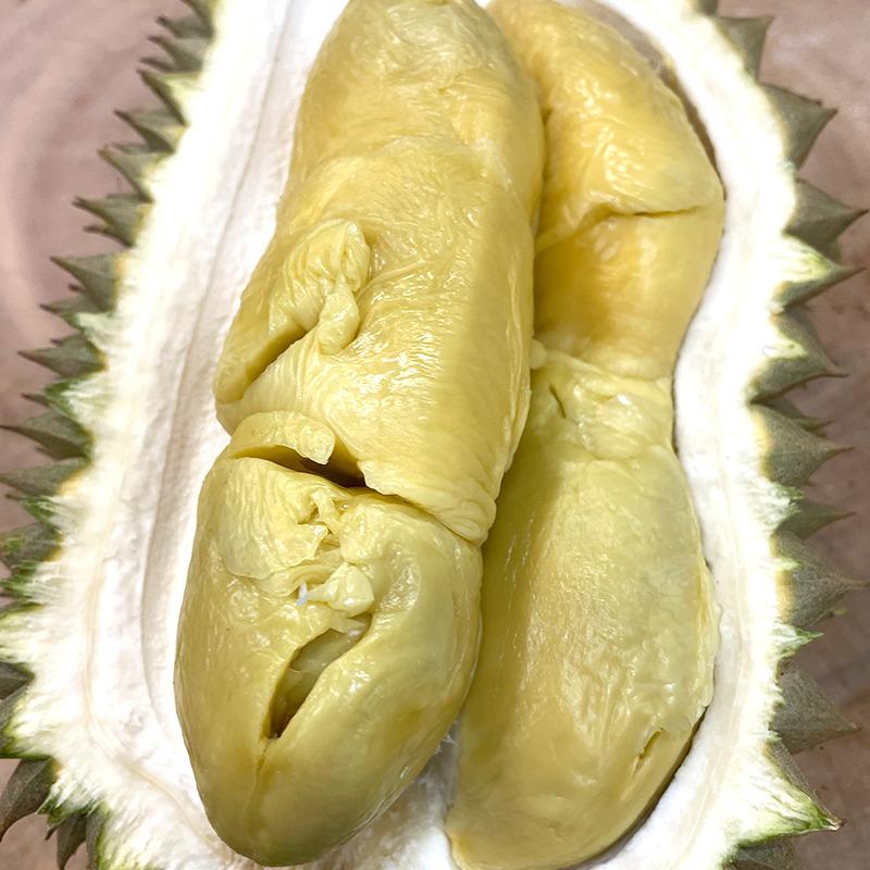 supplier durian medan